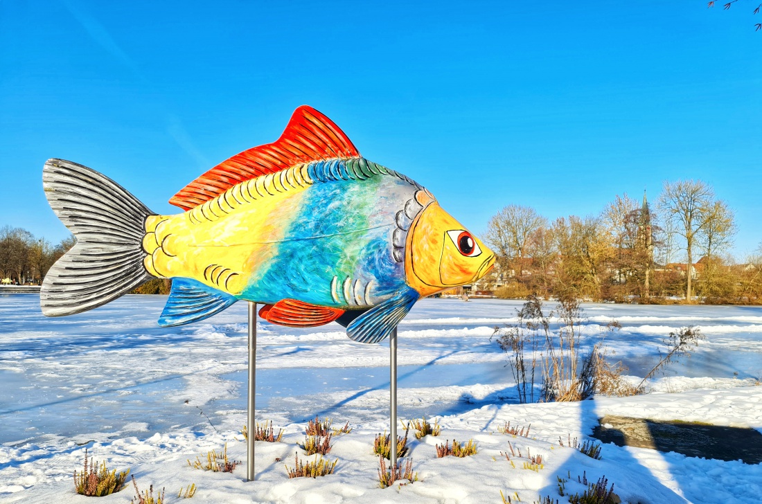 Am Stadtweiher in Kemnath...