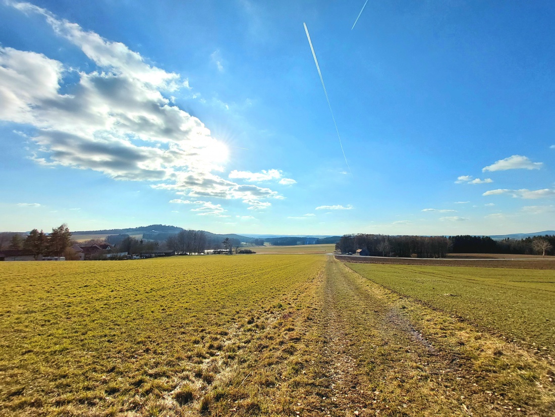 Foto: Martin Zehrer - Zu zweit unterwegs bei Neusteinreuth...<br />
Wenns nicht ganz so frisch gewesen wäre, hätte man fast denken können, dass der Frühling jetzt da ist!<br />
<br />
Wetter:<br />
- Sonne und Wo 