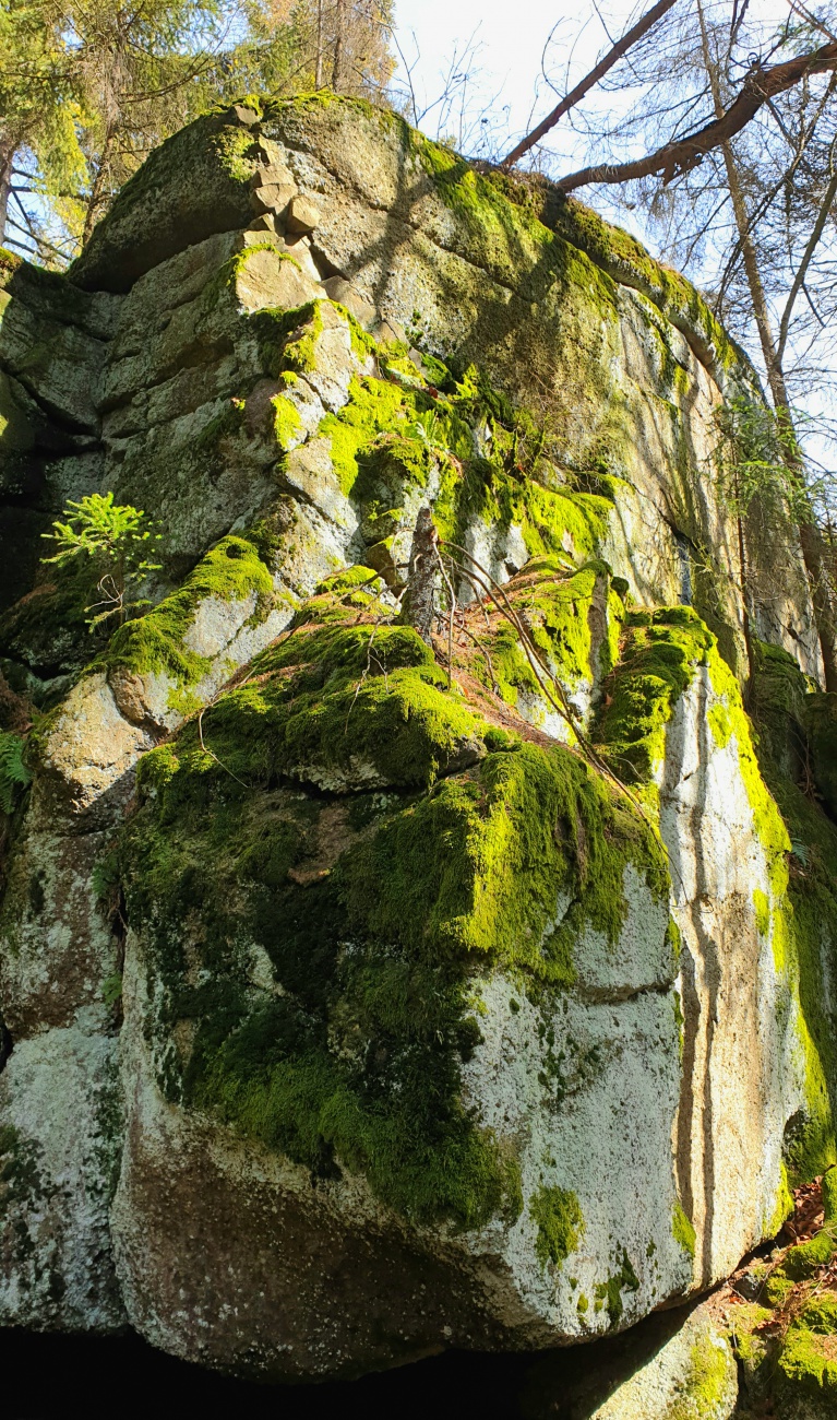 Foto: Martin Zehrer - Riesiges Fels-Gestein liegt im Wald vom Ochsenkopf...<br />
<br />
Wandern am 1. April 2021 