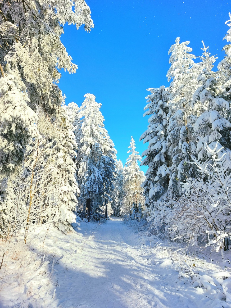 Foto: Martin Zehrer - Wunderschöne Winterzeit am 13. Dezember 2022, am Waldstein.<br />
<br />
Es war ein extrem sonniger, klarer Tag am Waldstein im Fichtelgebirge.<br />
Die Temperatur ging von Früh -16 Gr 