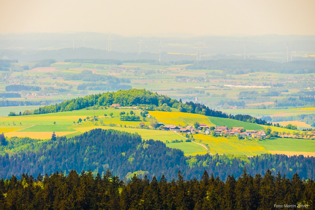 Foto: Martin Zehrer - Am Ziel!!! <br />
<br />
Die Aussicht vom Oberpfalzturm aus über den Steinwald ist die Krönung nach der 8 Kilometer weiten Wanderung durch den Steinwald.<br />
<br />
Die Luft flirrt in der  
