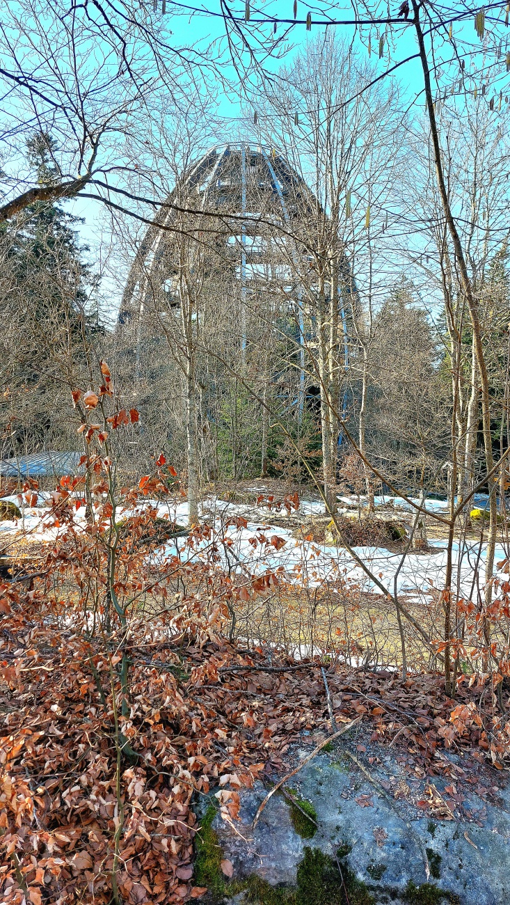 Das "Baum-Ei" bei Neuschönau 