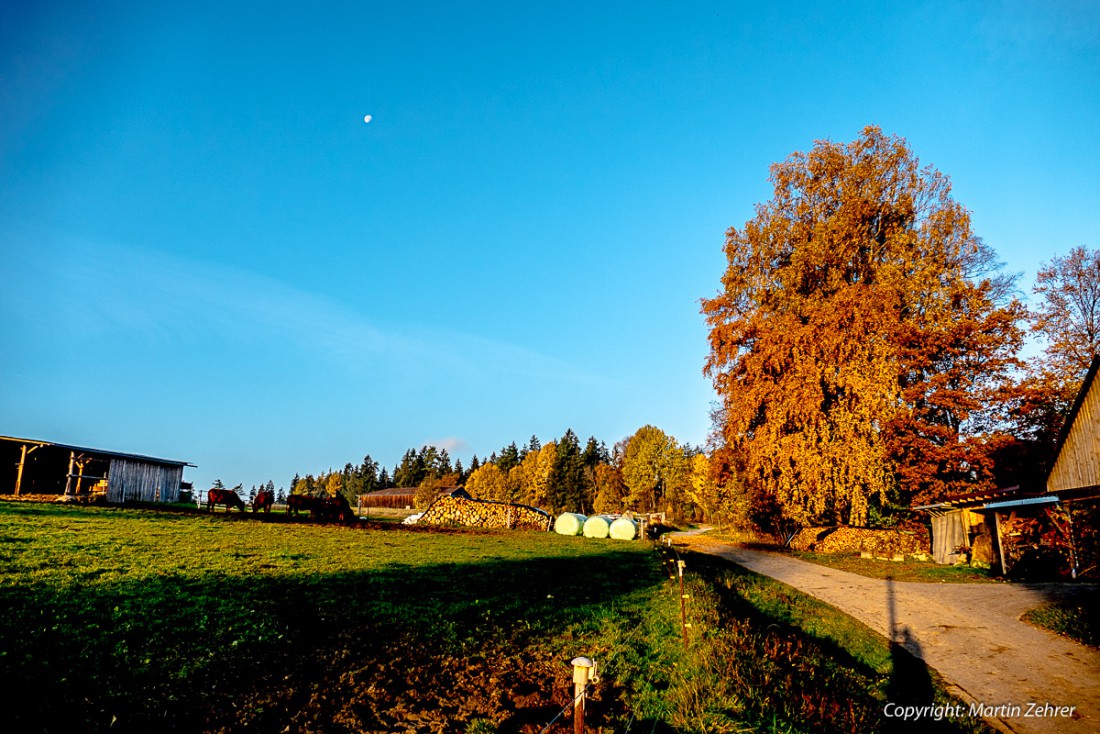 Foto: Martin Zehrer - Morning Has Broken in Hermannsreuth... Morgen erwacht in Hermannsreuth... 