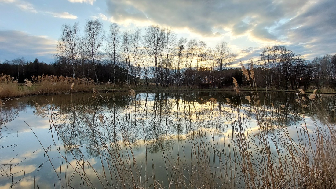 Foto: Martin Zehrer - Abend-Ruhe...  