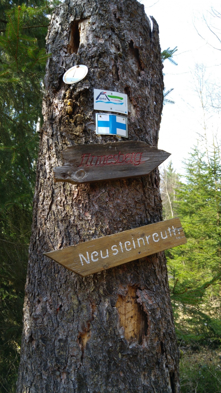 Foto: Martin Zehrer - Am Anfang dieses Wald-Weges sind Wegweiser an einen Baum genagelt.<br />
<br />
Das Mesnerhaus auf dem Armesbergs kommt immer näher... 