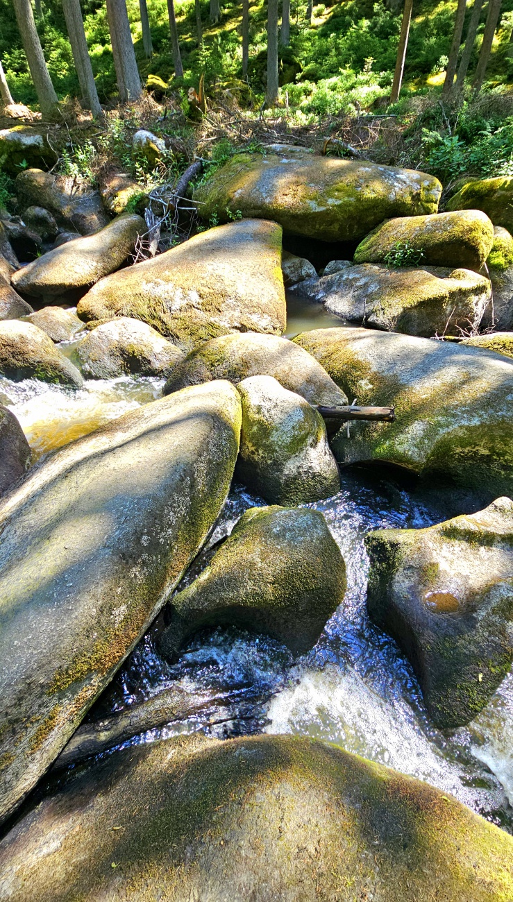 Felsiges Flußbett...
Herrliche Natur, traumhafte Landschaften... auf dem Weg zur Blockhütte im Waldnaabtal.