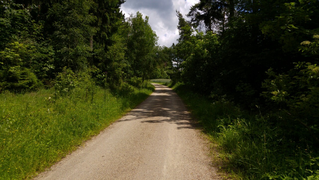 Foto: Martin Zehrer - Der weg zum Natur-Paradies Steinwald. Oberhalb von Haselbrunn, dort gibt es auch das BioLadl, befindet sich ein kleiner Parkplatz. Wenn Du Dein Fahrzeug hier abstellst un 