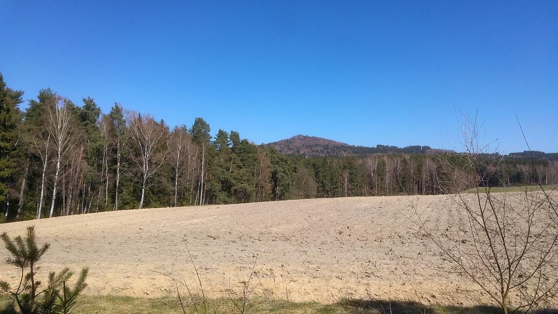 Foto: Martin Zehrer - Nähe Neusteinreuth... Der Blick übern Acker zum Armesberg hinauf.<br />
Die Sonne strahlt mit vollen Kräften, der Himmel blau, ein bester Frühlingstag in solch ungewissen Zeit 