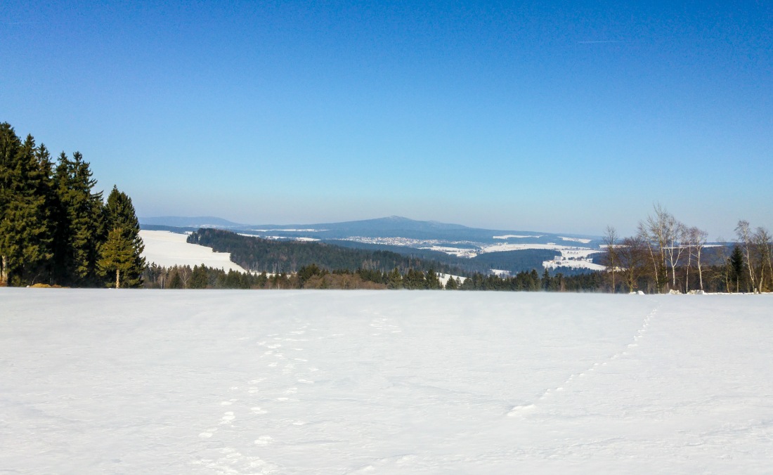 Foto: Martin Zehrer - Blick vom Zissler-Wald in Richtung Neusorg 