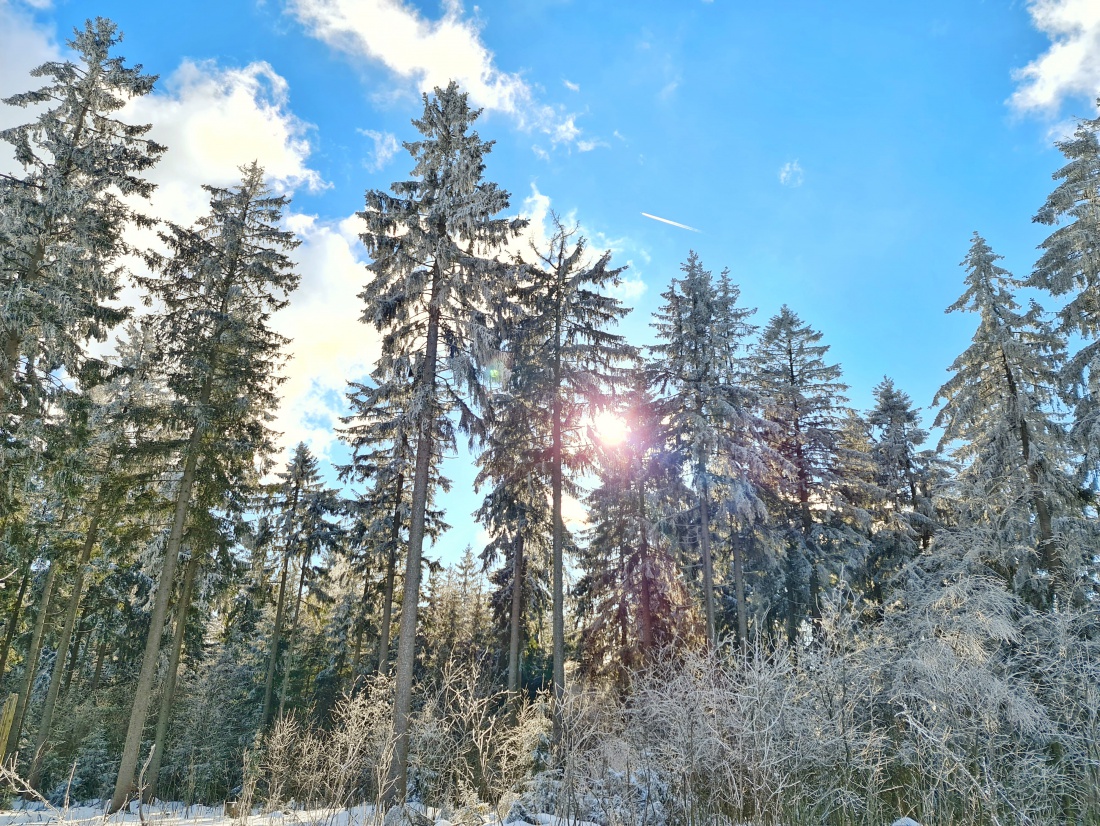 Foto: Jennifer Müller - Sonnig, eiskalt, wunderschön... Mehr kann man zum heutigen Tag nicht sagen.<br />
Unterwegs am Zissler bei Godas. 