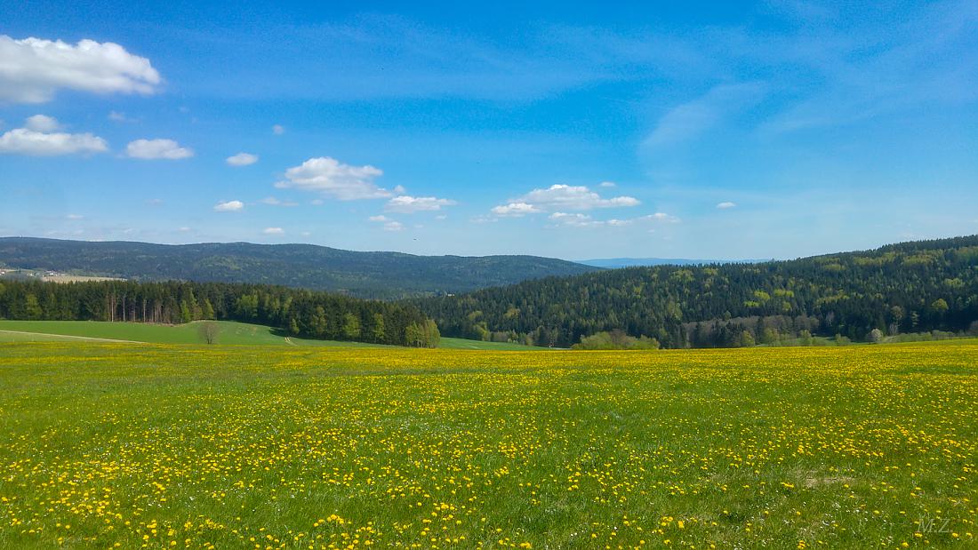 Foto: Martin Zehrer - Wandertag rund um den Armesberg am 26. April 2020...<br />
Vom Neusteinreuther Waldweg querfeldein am Greger-Haus vorbei, rauf zum Armes...<br />
<br />
Ein Tag vor der deutschlandweite 