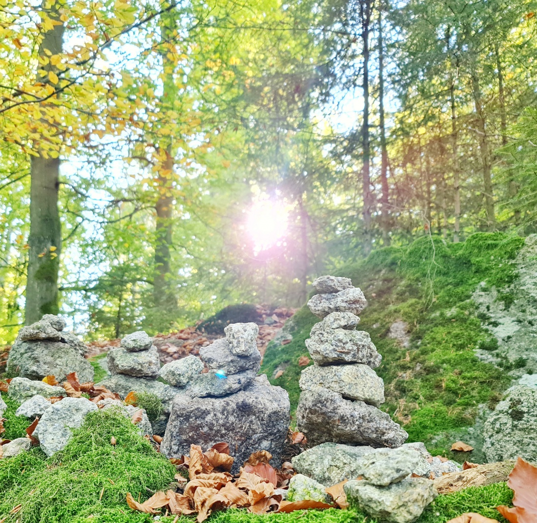 Foto: Jennifer Müller - Morgens Wandern in Godas und Nachmittags hoch zum Steinwald. Ein herrlicher Herbst-Sonnentag machte es uns unmöglich heut zuhause zu bleiben. Wir mussten einfach raus in  