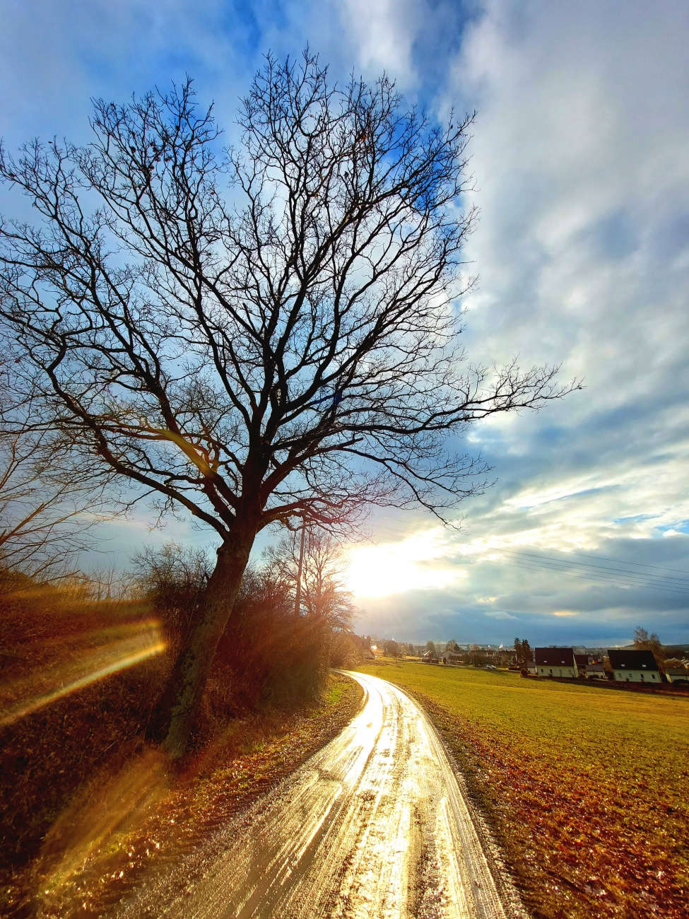 Foto: Martin Zehrer - Herrlicher Spaziergang bei Frühlings-Regen-Wetter :-) 