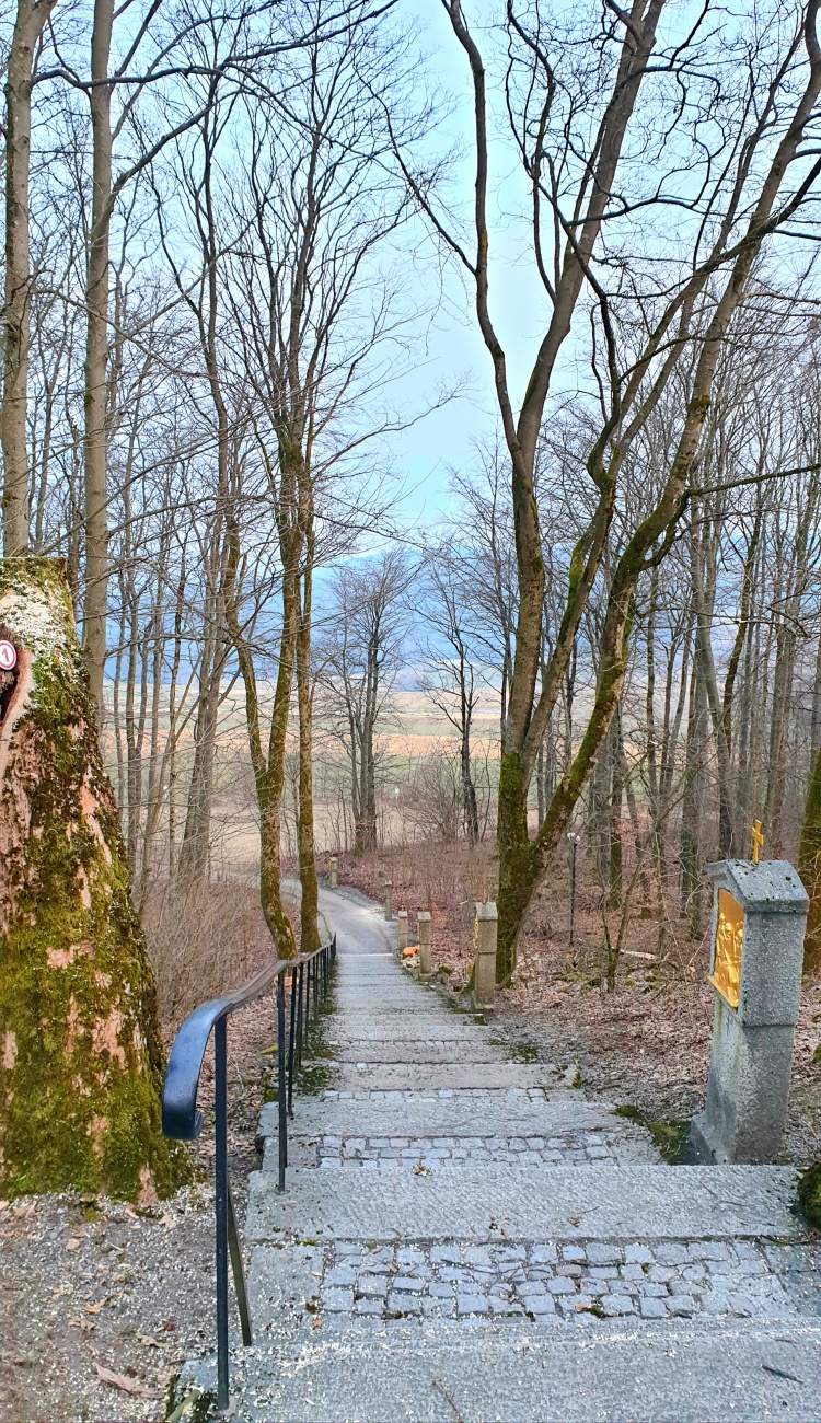 Foto: Martin Zehrer - Frühjahrsputz auf dem Armesberg. Einige große Bäume und viel Gestrüpp wurden entfernt.<br />
Der Treppen-Aufgang ist nun freier, der Blick auf die Kirche von unten ist besser. 