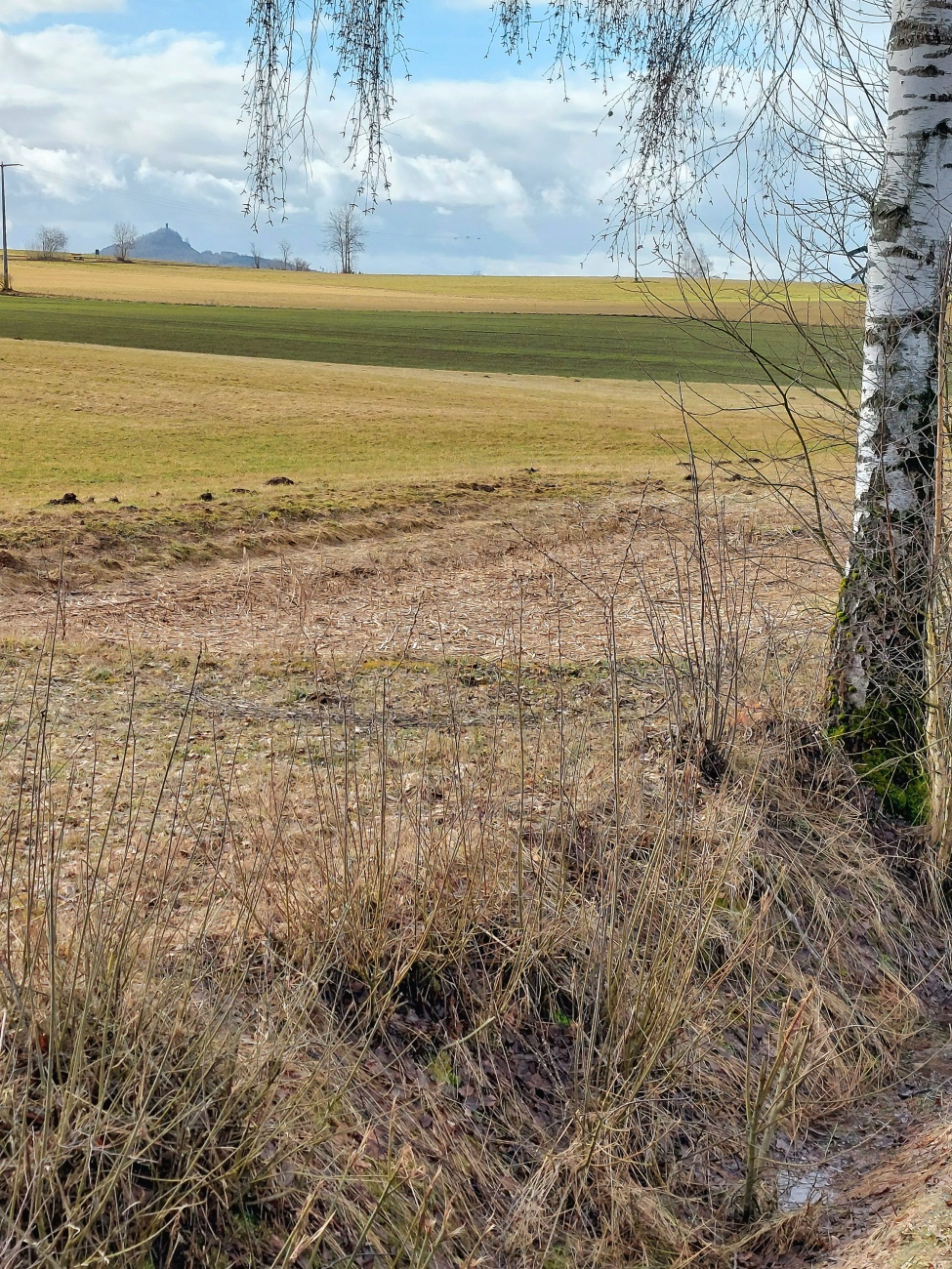 Der Blick ins Kemnather Land...

Am 24. Februar 2026 war das Wetter bei Kemnath sehr frühlingshaft.
Die Temperatur lag so ca. bei +14 Grad, die Vögel pfiffen um die Wette und es lag der Duft von frisch aufgetauter Erde in der Luft.
Die Wolken wetteiferten mit der Sonne um die Vorherrschaft.