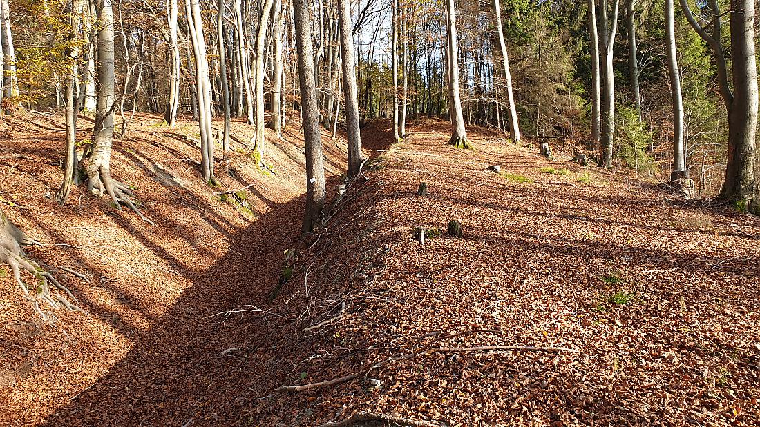 Foto: Martin Zehrer - Hammer-Wetter am 7. November 2020<br />
<br />
Die Wanderung ging von Godas nach Waldeck, von dort quer durch den Wald hinauf zum Zisslar-Hut bei Zwergau und dann wieder nach Godas 