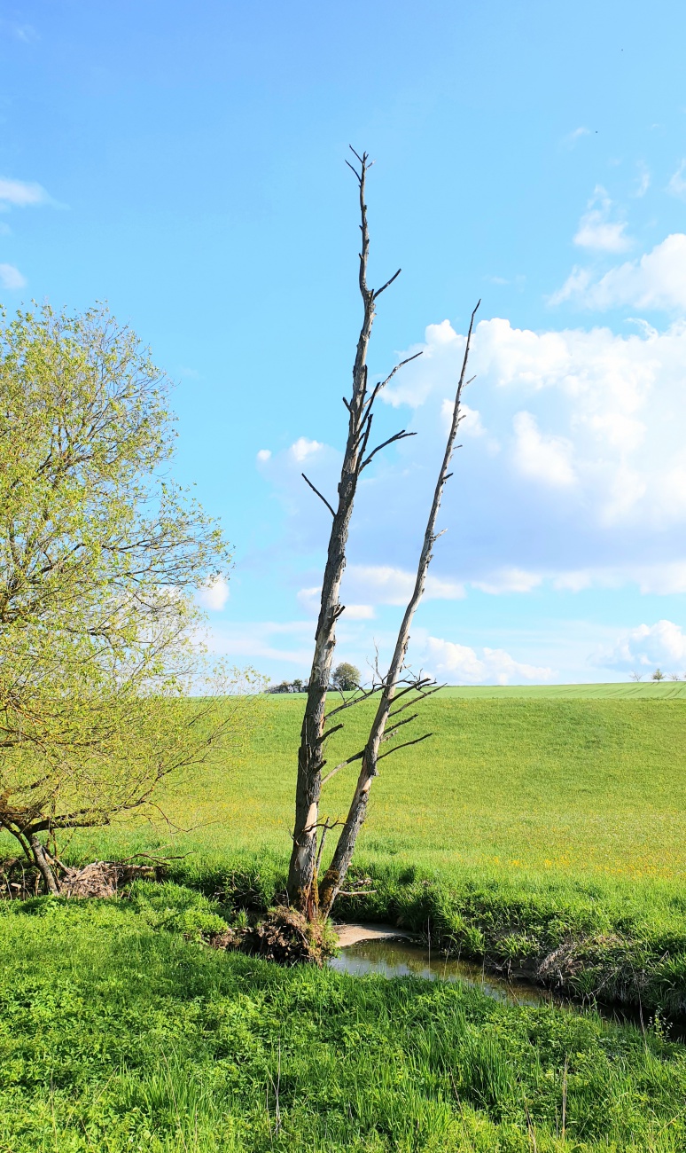 Foto: Martin Zehrer - Wandern zur Tauritzmühle... 