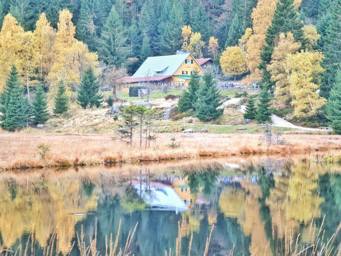 Foto: Jennifer Müller - Sonntags-Sonnen-Ausflug zum kleinen Arbersee. Einfach ein wunderschönes Erlebnis. 