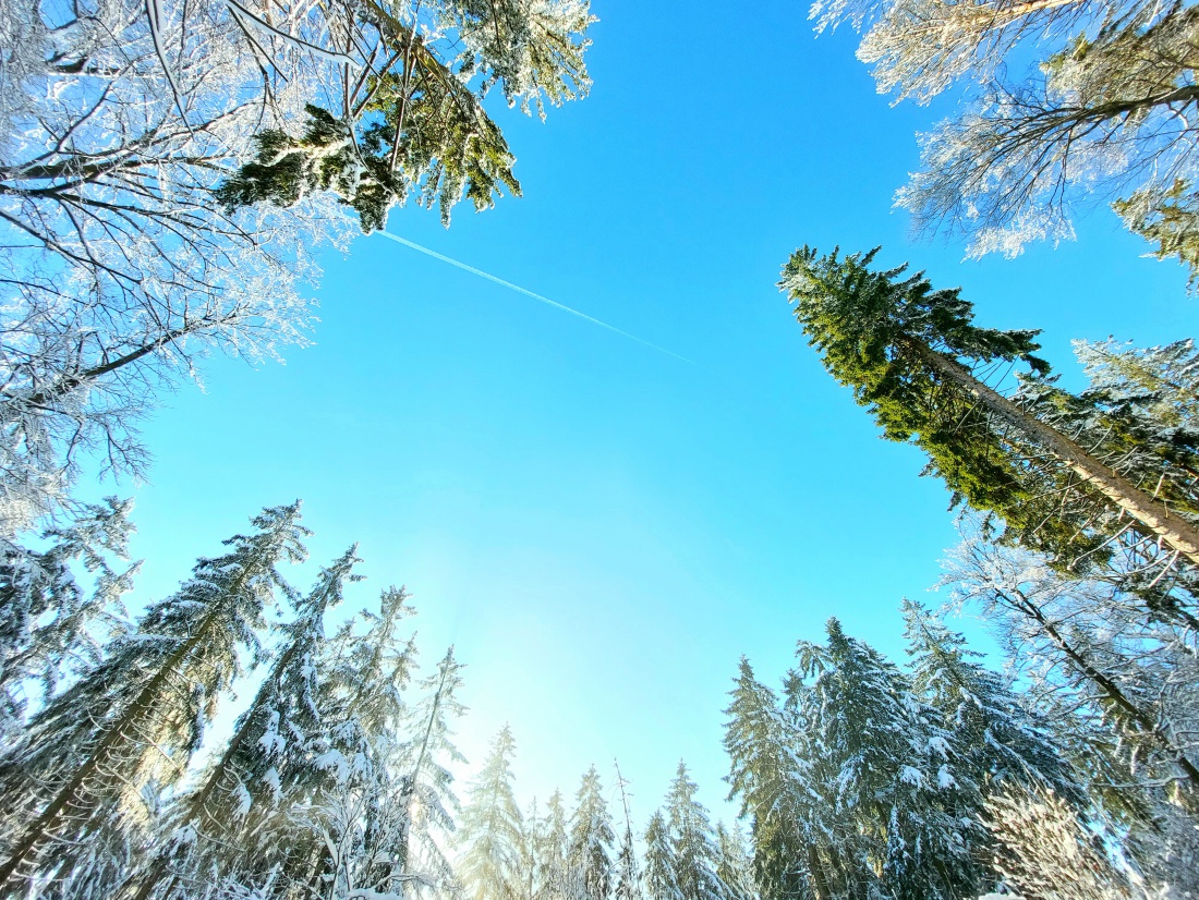 Foto: Martin Zehrer - Kösseine-Wanderung in den Sonnen-Himmel hinauf!<br />
Seit Tagen und Wochen herrscht trübes bzw. nebeliges Wetter. Am Freitag, den 14. Januar 2022 packte mein Mäuschen den Ruc 