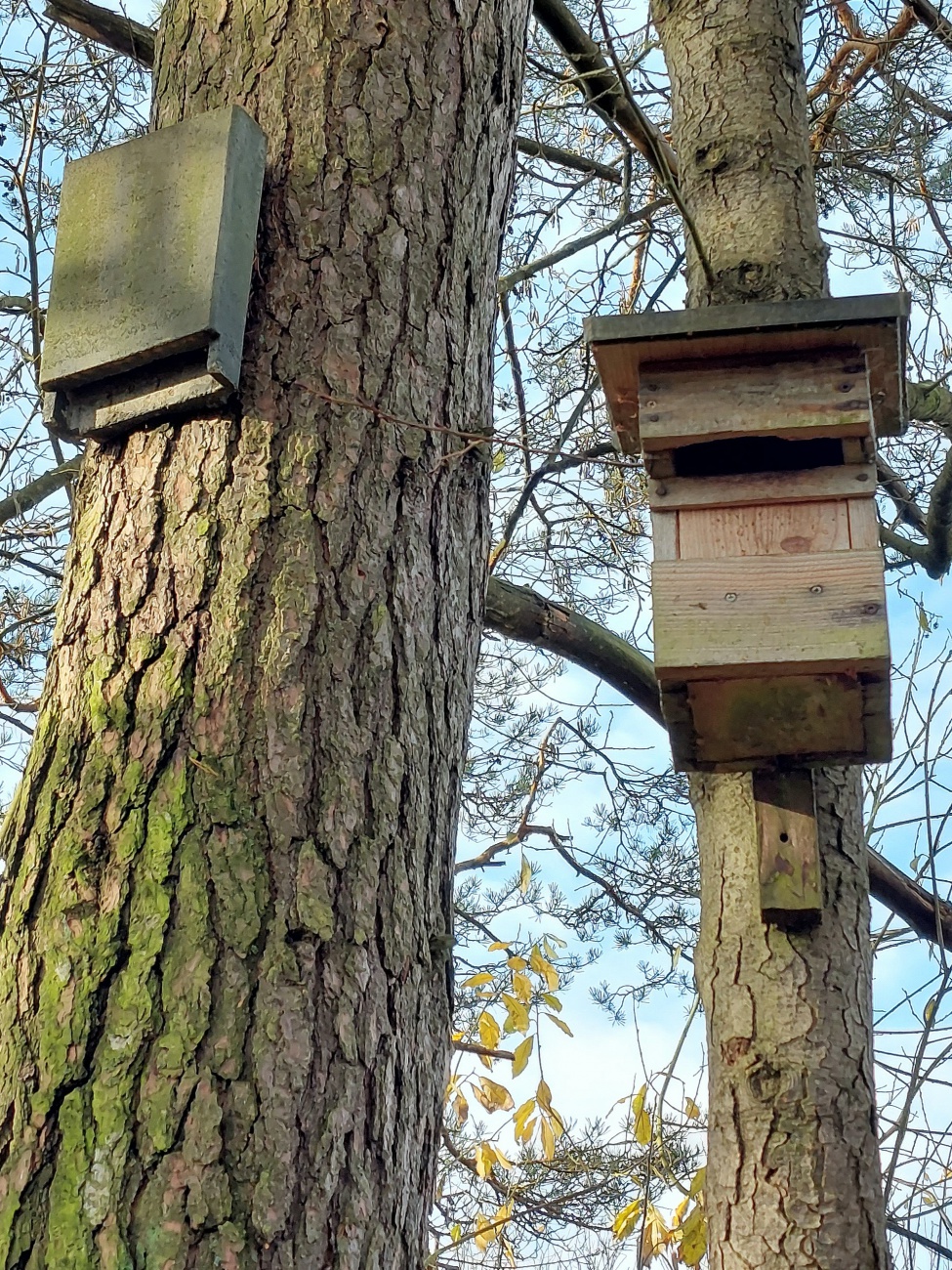 Foto: Martin Zehrer - Unterschiedliche Nistkästen am Rußweiher. <br />
Diese sind für Fledermäuse.  