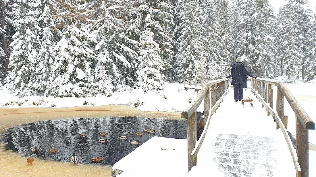 Foto: Martin Zehrer - Fichtelsee: Ein Brückchen und ein paar Enten im Eiswasser. 