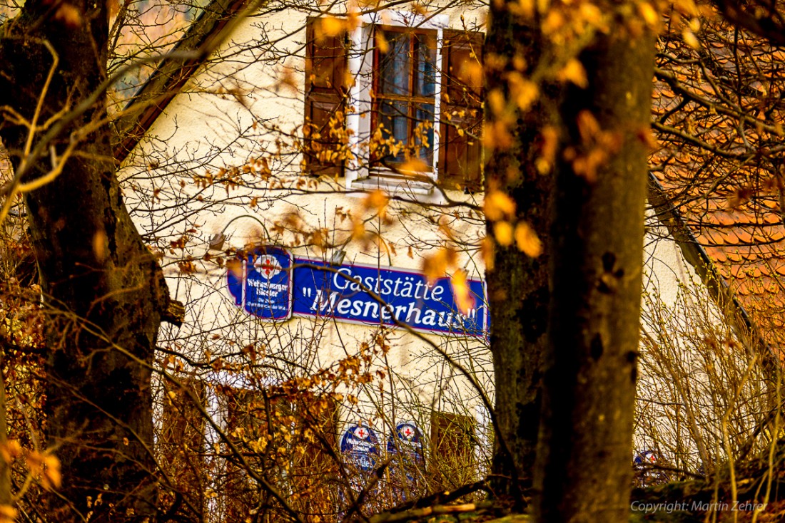 Foto: Martin Zehrer - Frühling auf dem Armesberg. Erste Hummeln fliegen durch die Gegend. Schmetterlinge lassen sich entdecken. Grüne kleine Pflanzen drücken mit aller Kraft durch das Herbstla 