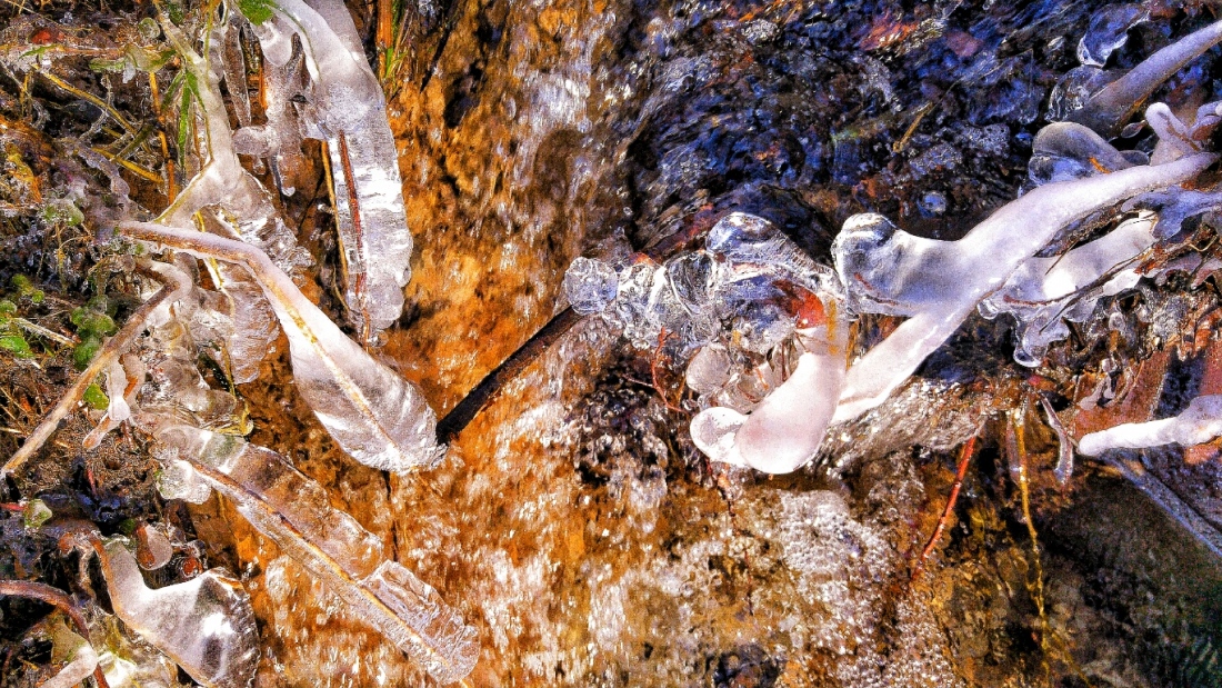 Foto: Martin Zehrer - Eiskristalle in einem Bachlauf...<br />
<br />
Am kulmainer Stausee... Die vergangene Nacht hatte es ca. minus 8 Grad, das Wetter heute ist gigantisch. <br />
Wer hier her kommt, erlebt 