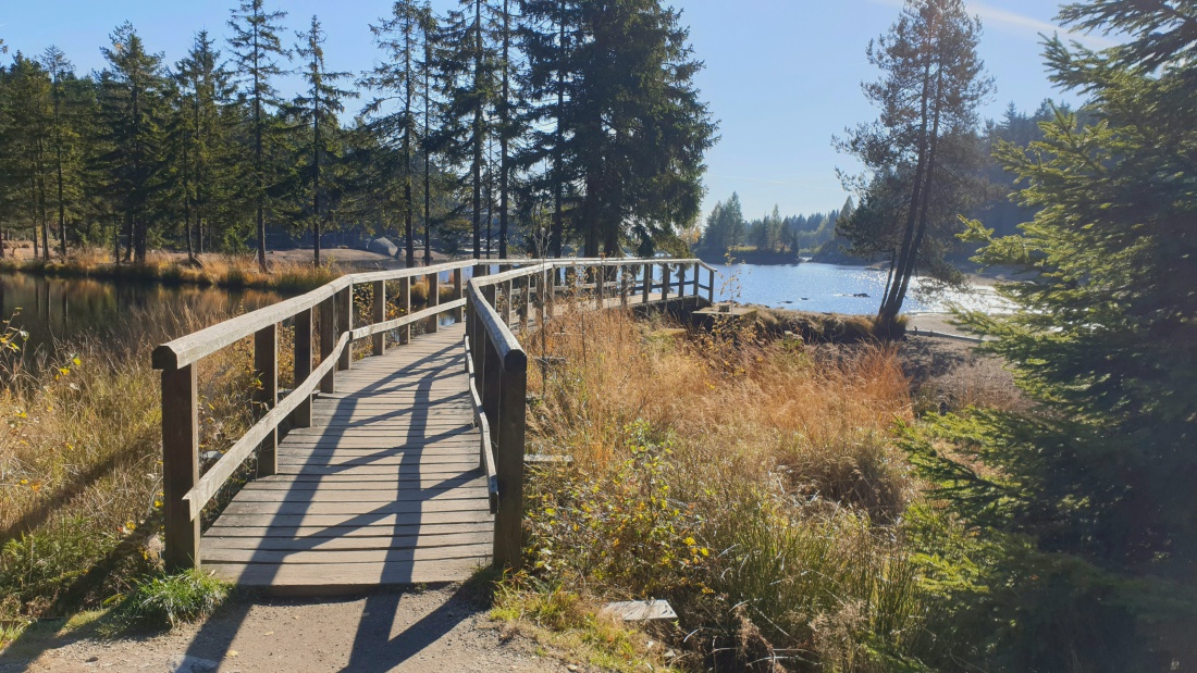 Foto: Martin Zehrer - Die Brücke am Moorgebiet zum Fichtelsee rüber. 