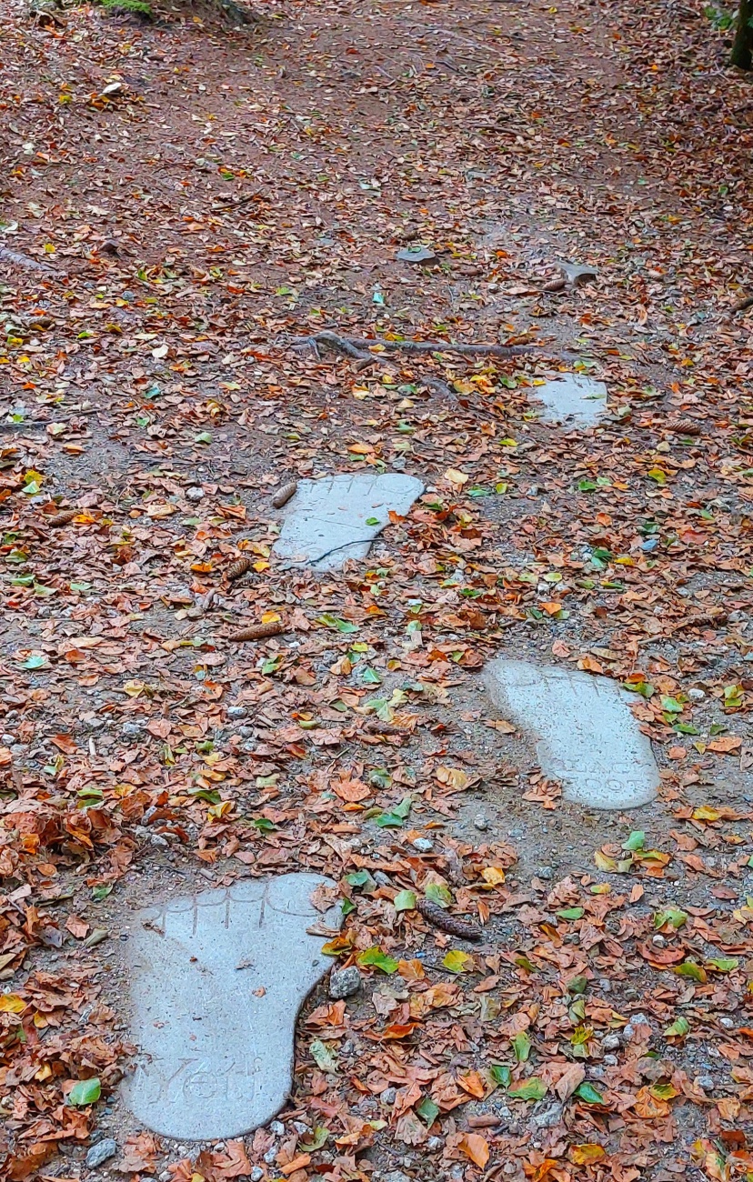 Foto: Martin Zehrer - Geheimnisvolle Fußabdrücke im Wald am Fichtelsee...<br />
<br />
Sie weisen den Weg zum Barfuß-Weg. 