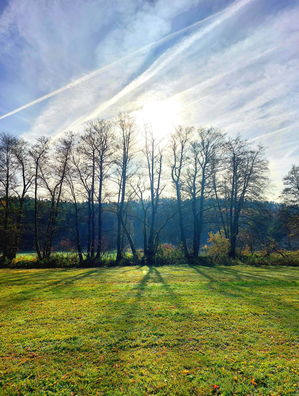 Foto: Martin Zehrer - Schattenspiele im November! 