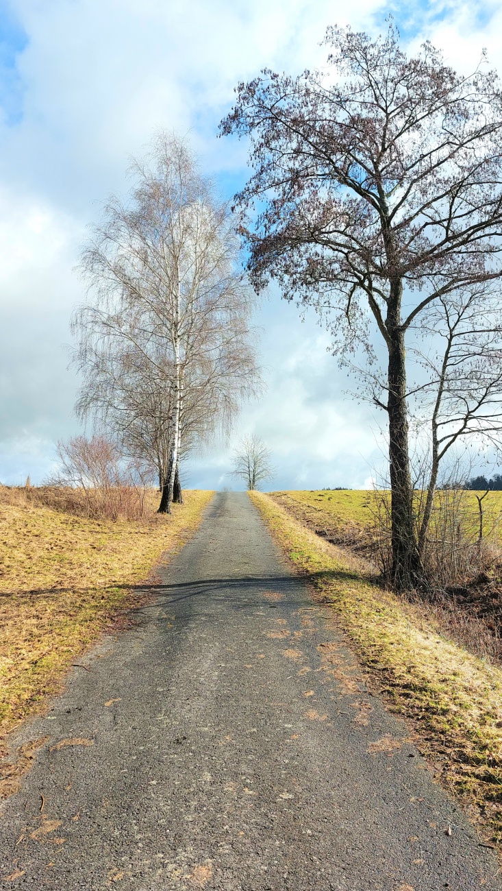 Rauf ins Natur-Paradies...

Am 24. Februar 2026 war das Wetter bei Kemnath sehr frühlingshaft.
Die Temperatur lag so ca. bei +14 Grad, die Vögel pfiffen um die Wette und es lag der Duft von frisch aufgetauter Erde in der Luft.
Die Wolken wetteiferten mit der Sonne um die Vorherrschaft. 