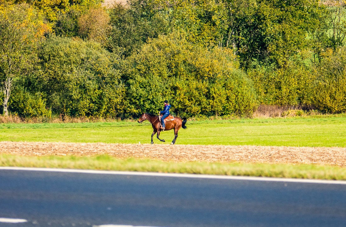 Foto: Martin Zehrer - Reiten durch den Herbst - Zwischen Kulmain und Kemnath 