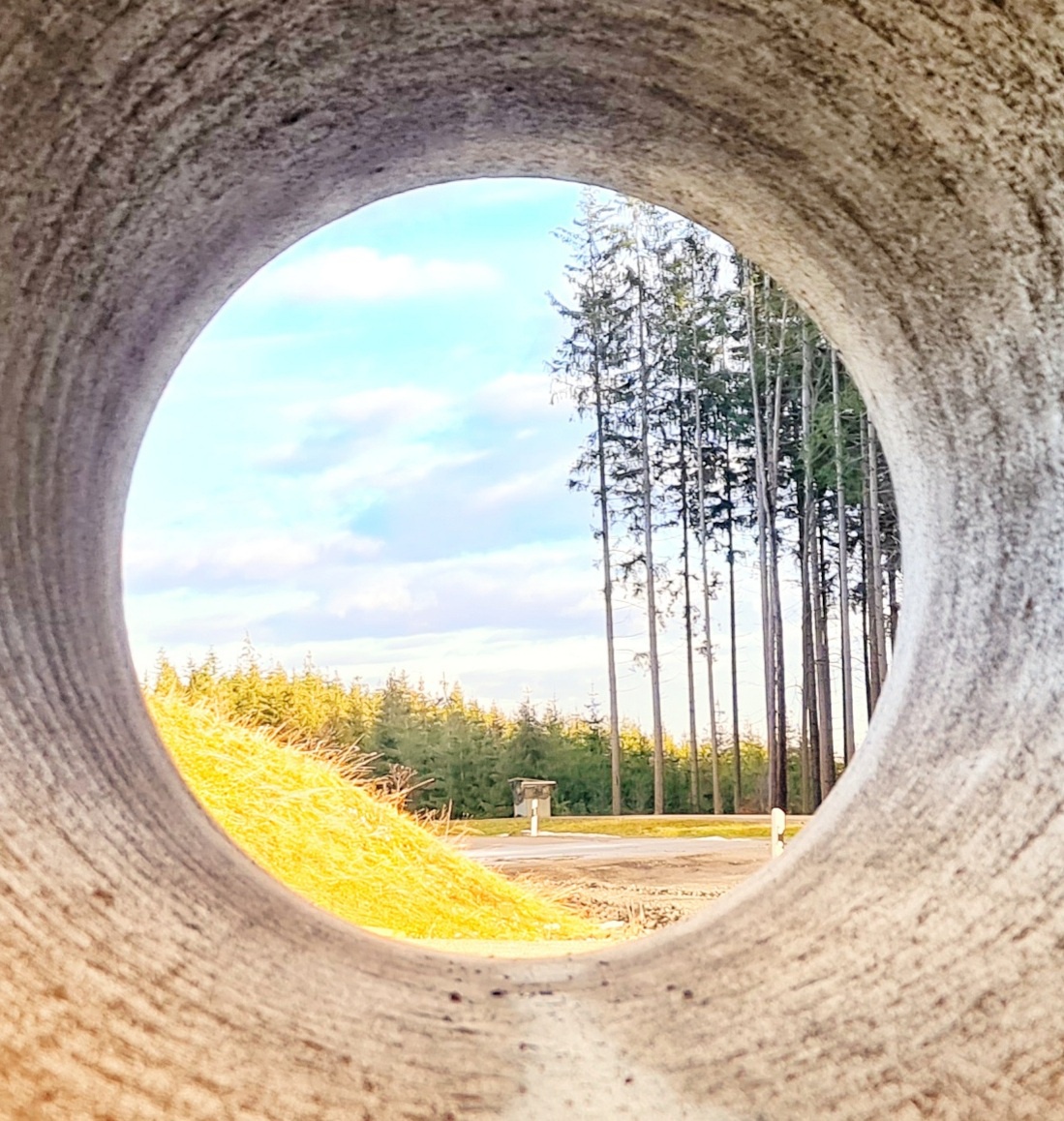 Foto: Jennifer Müller - Schnappschüsse rund um die Baustelle im Hessenreuther Wald... Es wird Frühling ;-) 