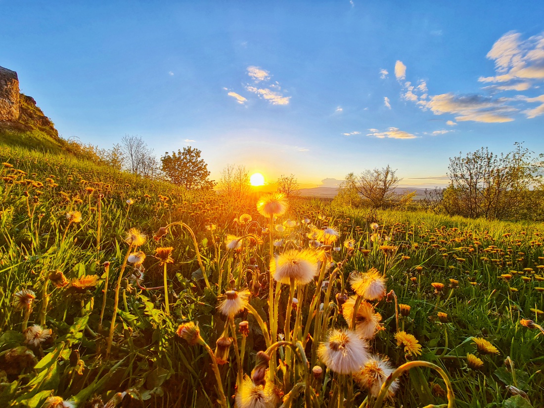 Foto: Martin Zehrer - Unsere wunderschöne Heimat am und um den Schloßberg bei Waldeck... 