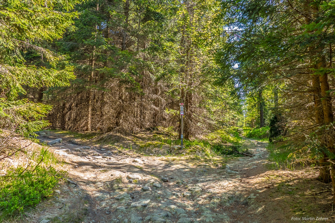 Foto: Martin Zehrer - Weg-Gabel im Steinwald... Links rum gehts hoch zum Oberpfalzturm auf der Platte.<br />
<br />
Ziel ist eine Wanderung zum Oberpfalzturm oben auf der Platte, dem höchstem Berg im wu 