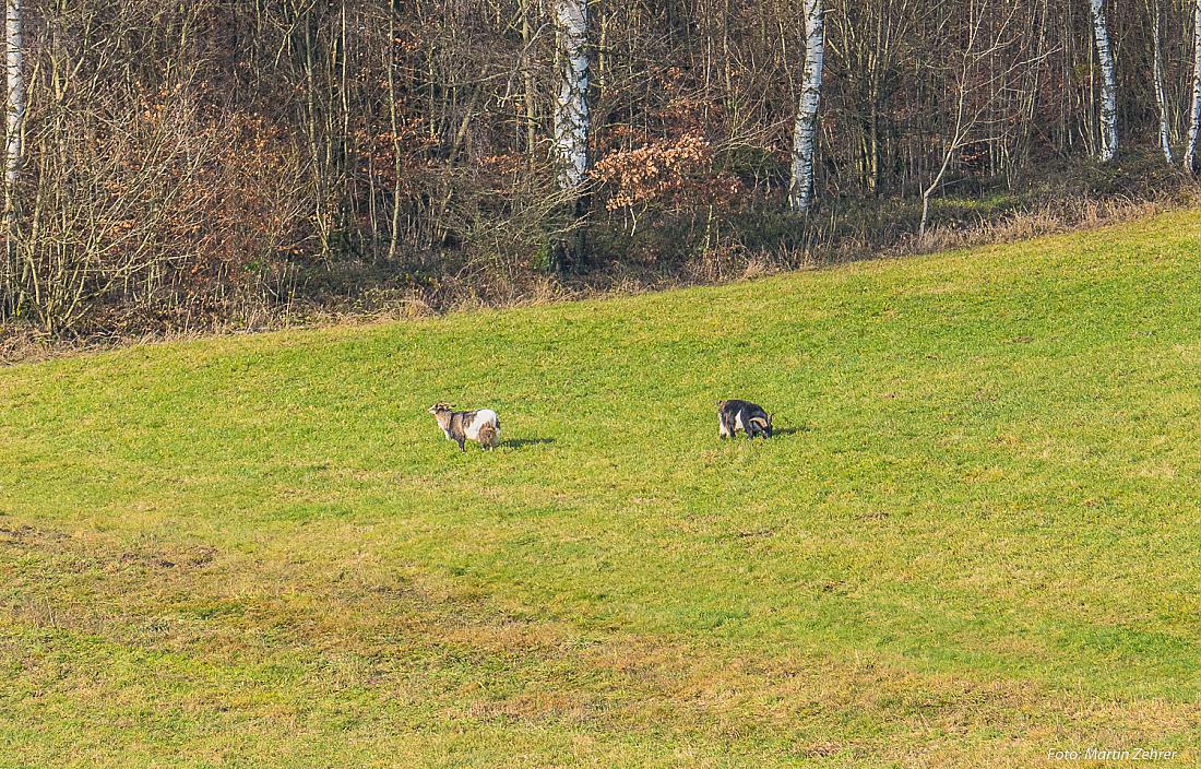 Foto: Martin Zehrer - Endlich erwischt... Martina und Bernd ;-)<br />
<br />
Phantastischer Rundgang im Paradies (Godas):<br />
Heute ist der 16.12.2019 und es liegt, ob manns glauben möchte oder nicht, bere 