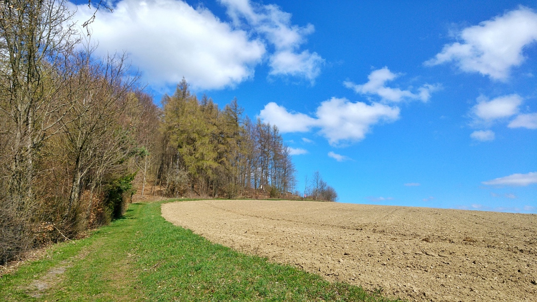 Foto: Martin Zehrer - Wandern zum Armesberg...<br />
Sonnenschein, frischer Wind und traumhafte Natur!<br />
<br />
7. April 2019 