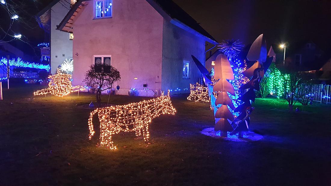 Foto: Martin Zehrer - Wunderschöne Weihnachts-Deko in Hütten...<br />
Auch eine Kuh steht da im Lichtermeer:-) 