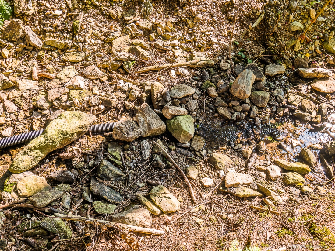 Foto: Martin Zehrer - 28. September 2018 - Der Godas-Bach im Wald Nähe Godas. Nur noch ein kleines Rinnsal. Als Kinder setzten wir weit oben im Bach Kronkorken verkehrt herum aufs Wasser und g 