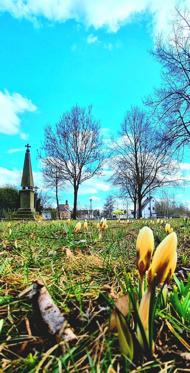 Foto: Jennifer Müller - Der Frühling ist auch in Kemnath auf dem Vormarsch. Vor dem Kriegerdenkmal spitzen die ersten Krokusse hervor. 