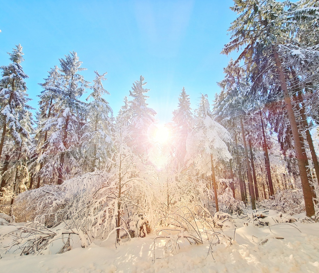 Foto: Jennifer Müller - Heute mal rauf auf die Kösseine.<br />
Winter-Wonderland und Sonne über Sonne... am Himmel und im Herzen 