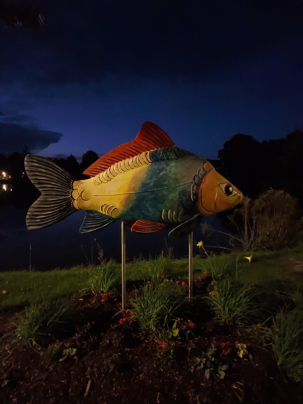 Foto: Martin Zehrer - Karpfen bei Nacht... 