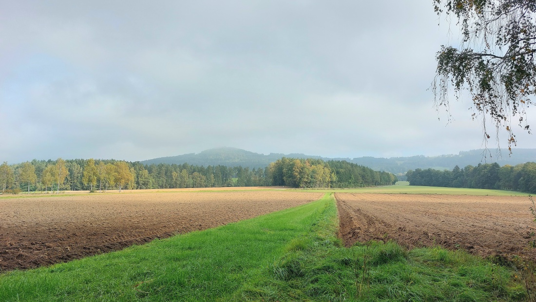 Foto: Martin Zehrer - Herbst-Zeit zwischen Eisersdorf und Neusteinreuth.<br />
<br />
12 Grad, Frühnebel, Nachmittags kommt die Sonne manchmal durch. 