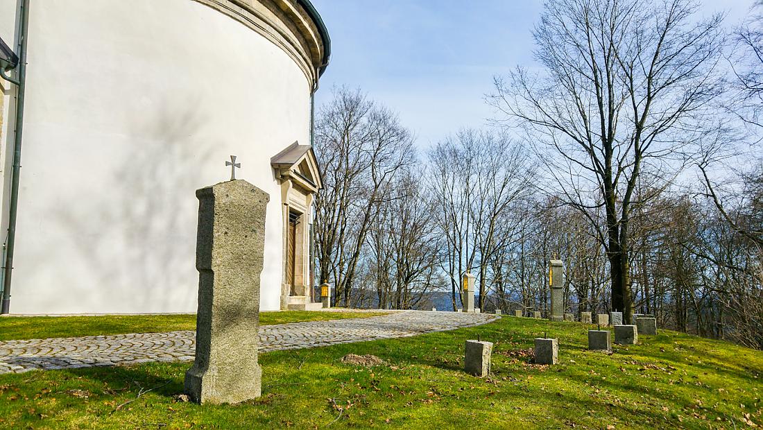 Foto: Martin Zehrer - Frühling, 15.3.2020, oben auf dem Armesberg... 