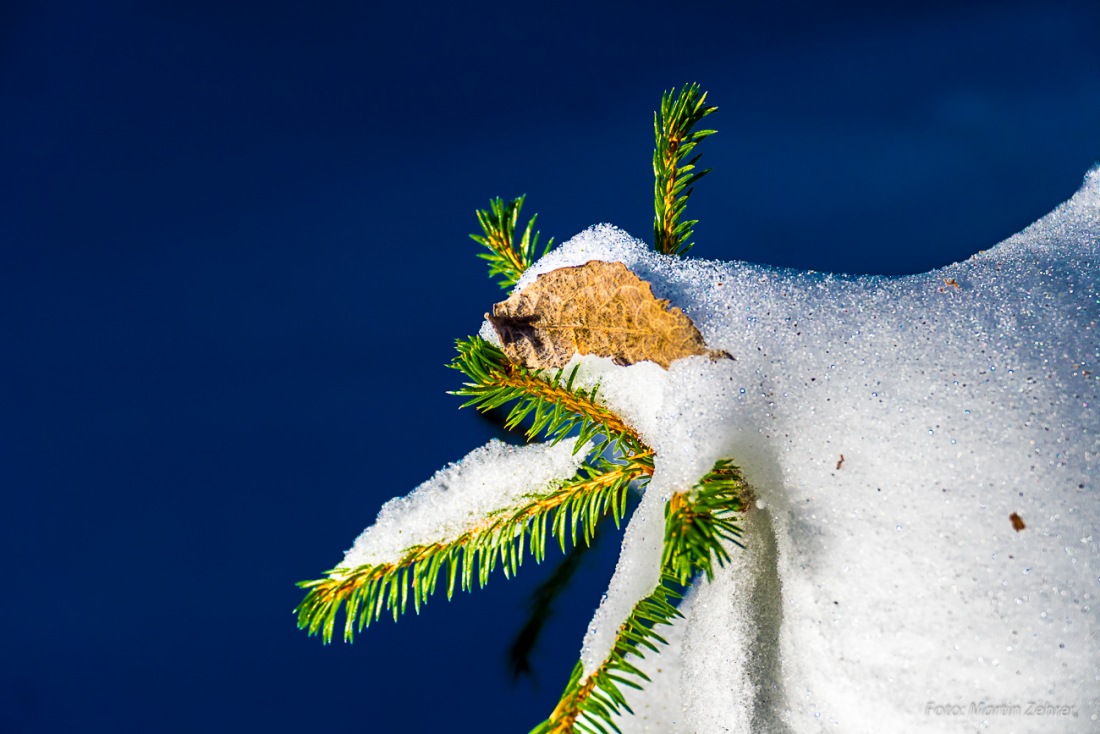 Foto: Martin Zehrer - Schnee-Mantel... 