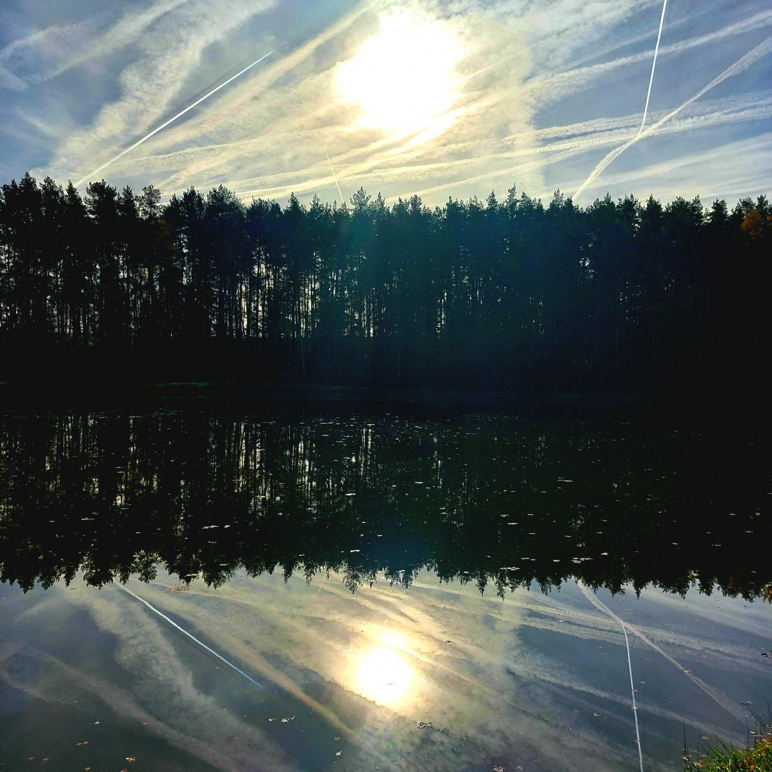 Foto: Martin Zehrer - Weiher im Spiegel... 