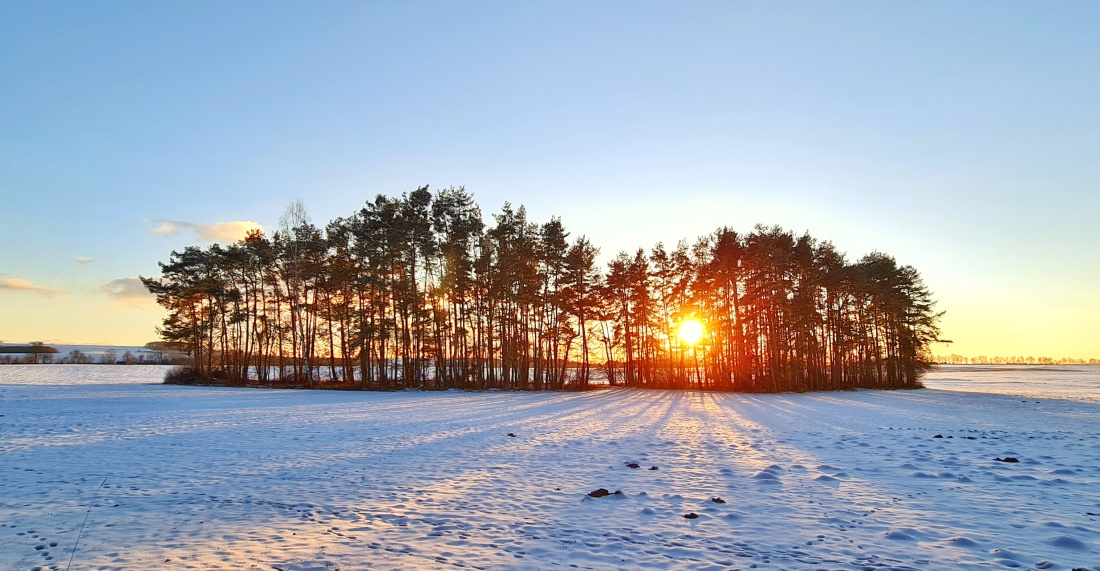 Foto: Jennifer Müller - Sonnig, eiskalt, wunderschön... Mehr kann man zum heutigen Tag nicht sagen. 