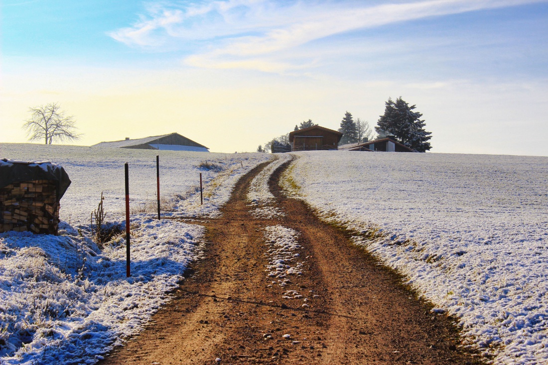 Foto: Joshua Richter - Ein Feldweg nahe meiner Heimat 