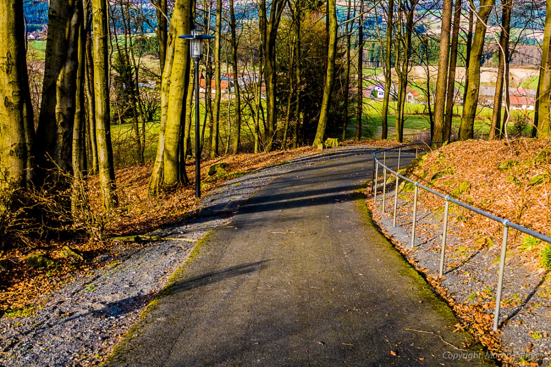 Foto: Martin Zehrer - Frühling auf dem Armesberg. Erste Hummeln fliegen durch die Gegend. Schmetterlinge lassen sich entdecken. Grüne kleine Pflanzen drücken mit aller Kraft durch das Herbstla 