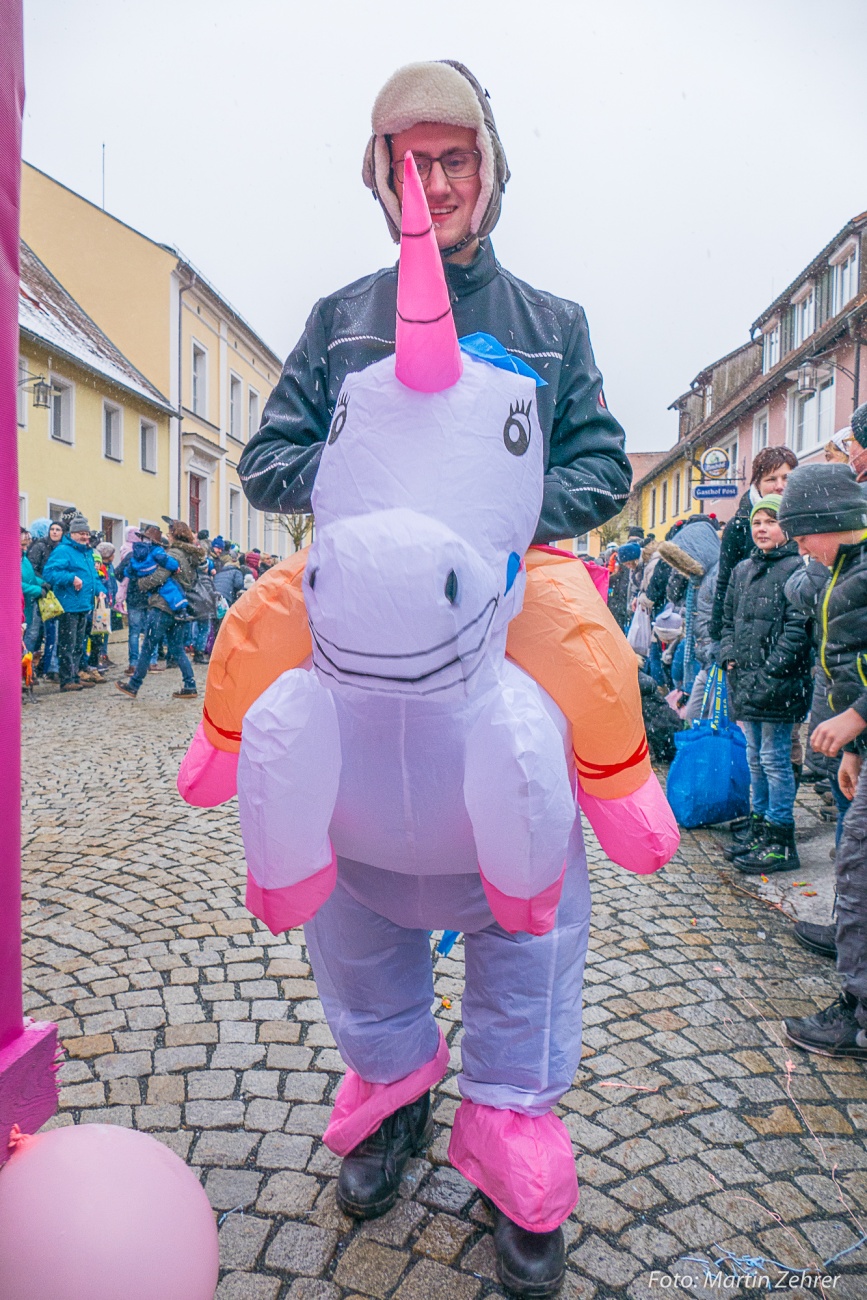 Foto: Martin Zehrer - Gaudi, Gaudi, Gaudi!!! Faschingszug des WCV durch Waldeck am 11. Februar 2018!  